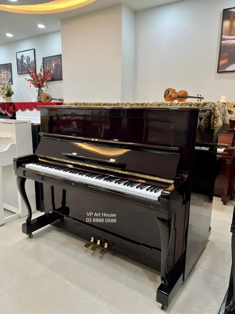 Chất lượng của đàn Apollo được đánh giá cao so với phân khúc giá khiêm tốn của nó