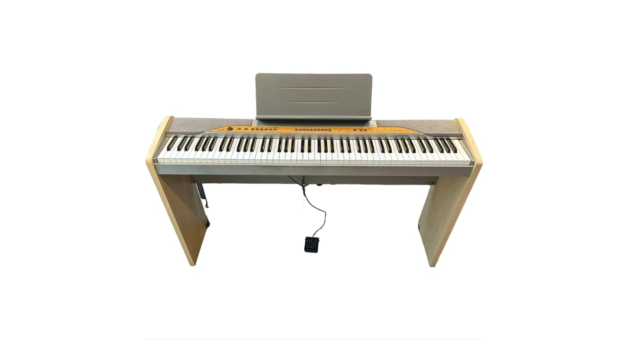 CASIO PX 110