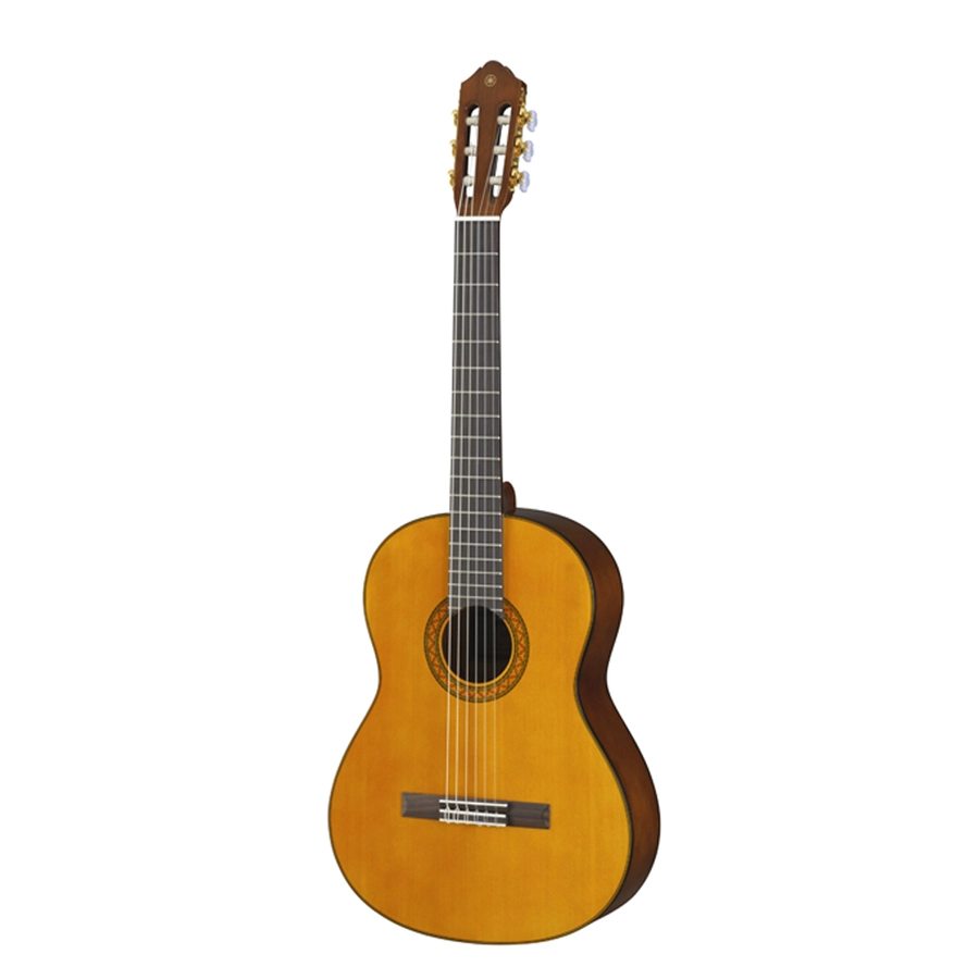 Guitar Classic Yamaha C70