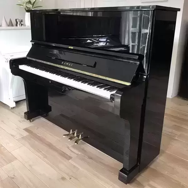 KAWAI KU3D