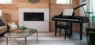 KAWAI DG30