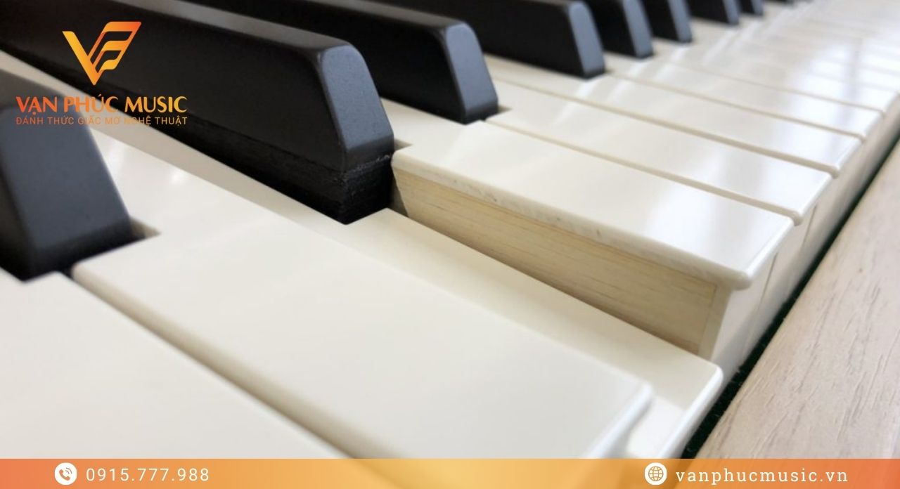 KAWAI CA 17R