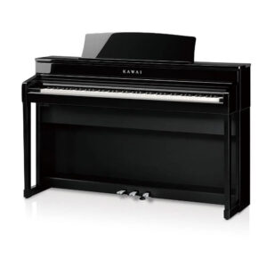 EP-Polished Ebony