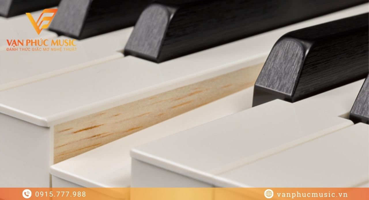 YAMAHA P 515WH