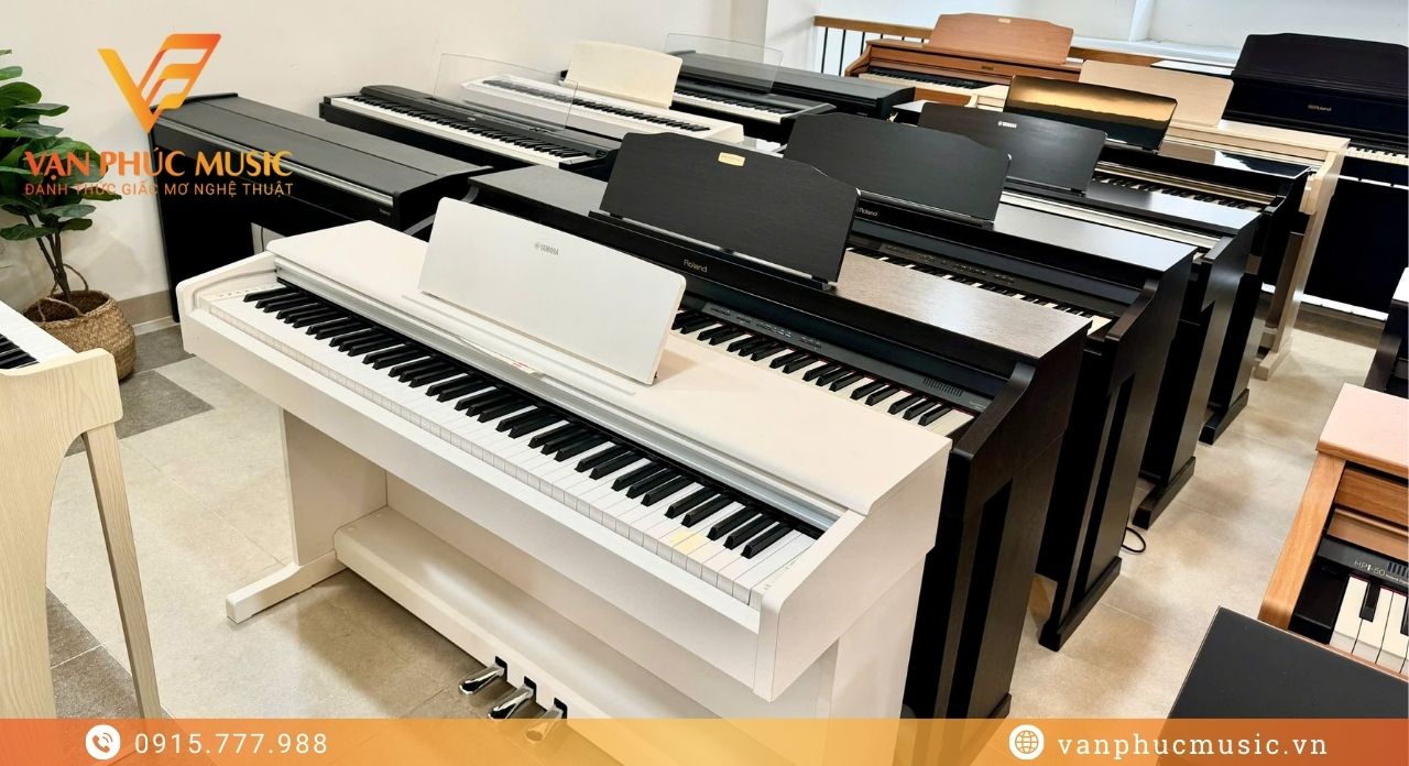 YAMAHA CVP 605B