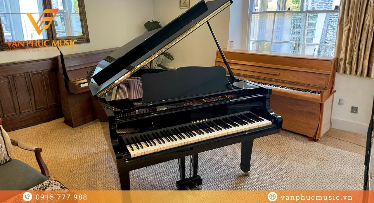 YAMAHA G2 đã qua sử dụng