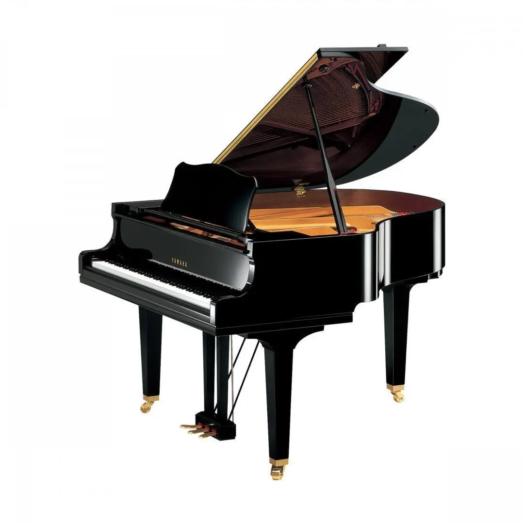 YAMAHA GC1
