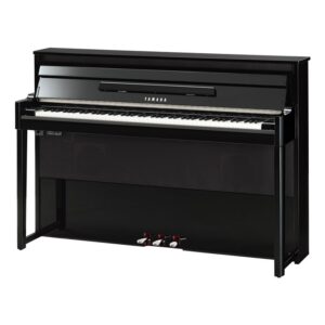 PE - Polished Ebony