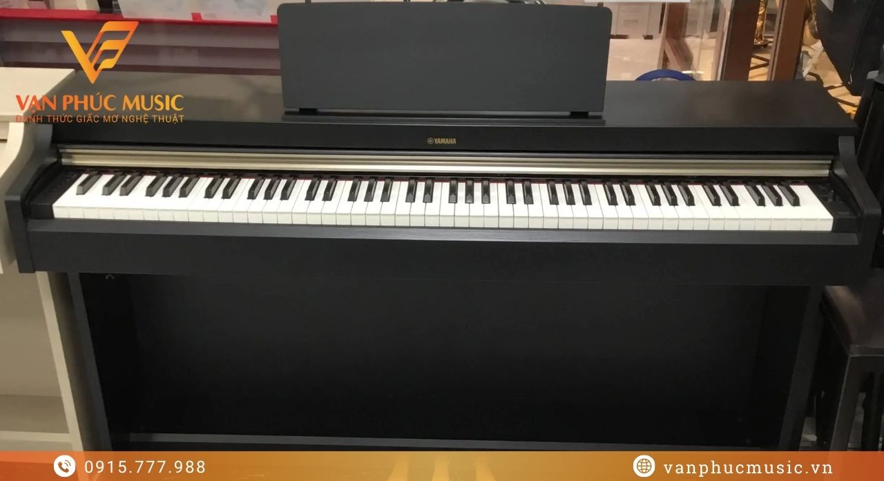YAMAHA YDP 162B