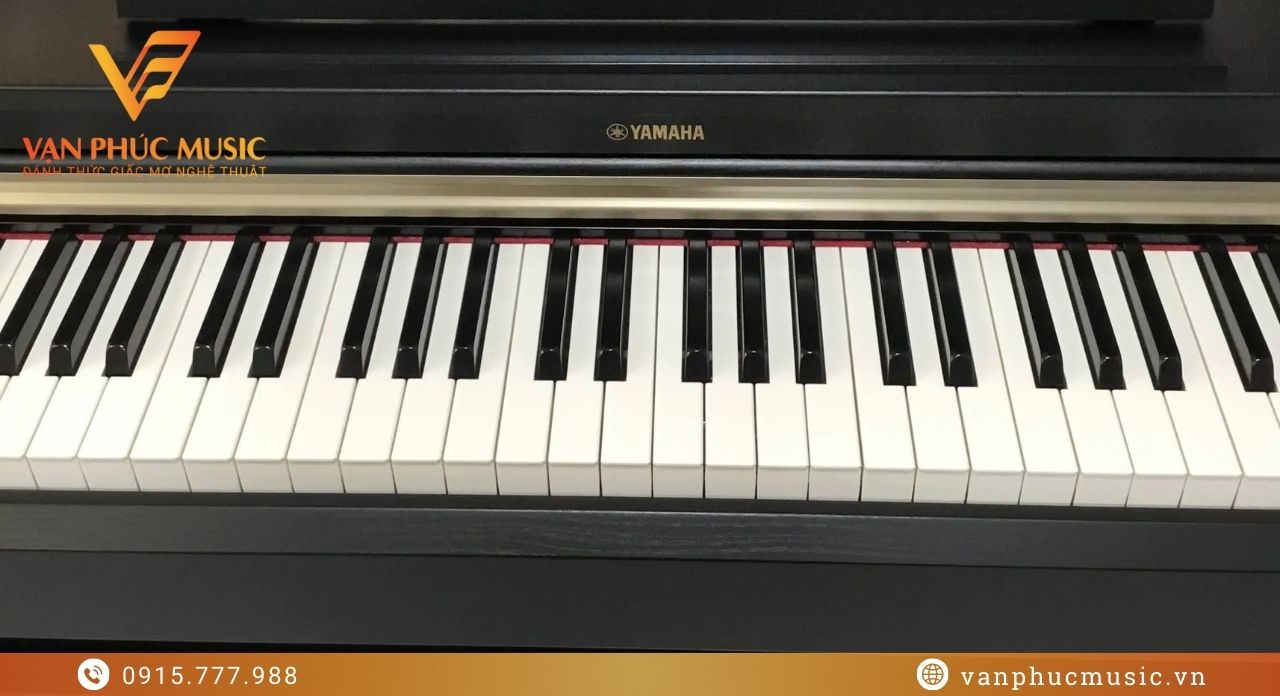 YAMAHA YDP 162B