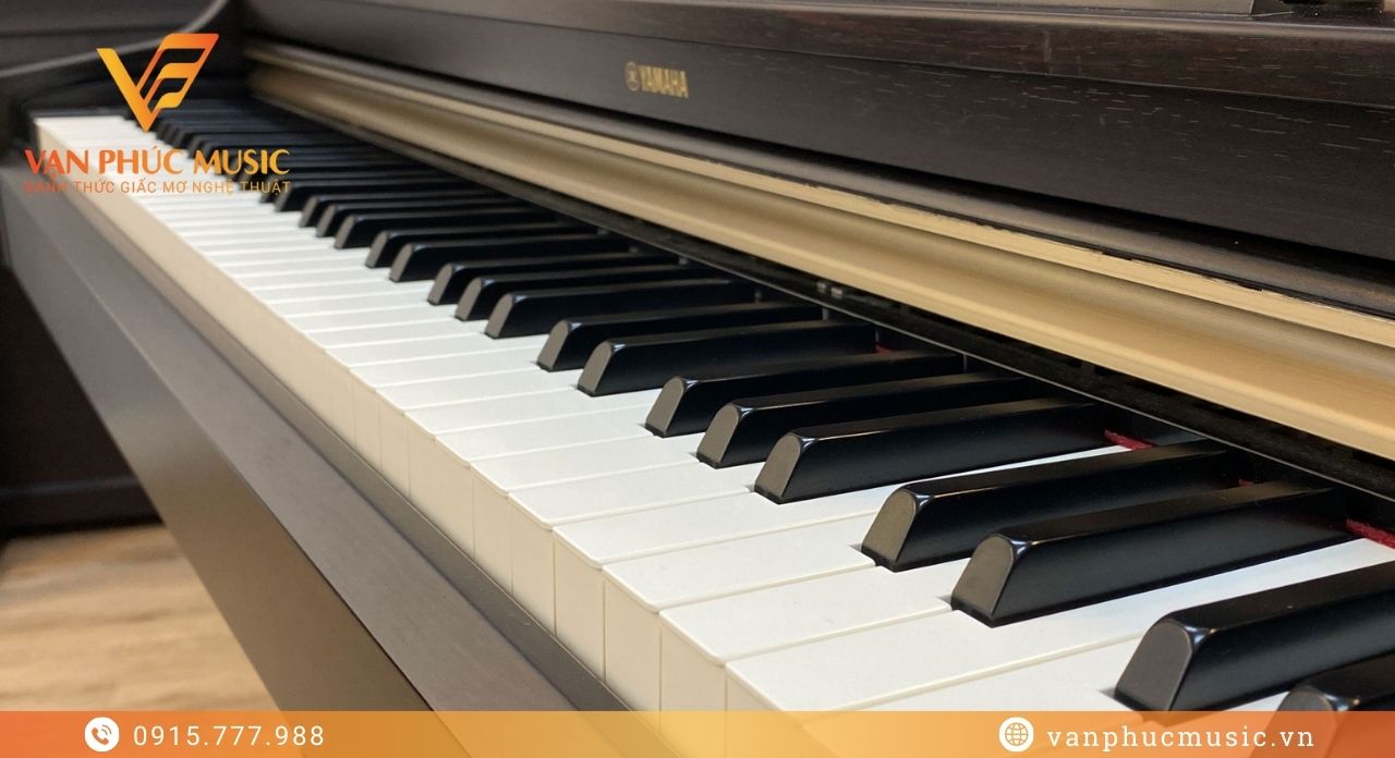 YAMAHA YDP 162R