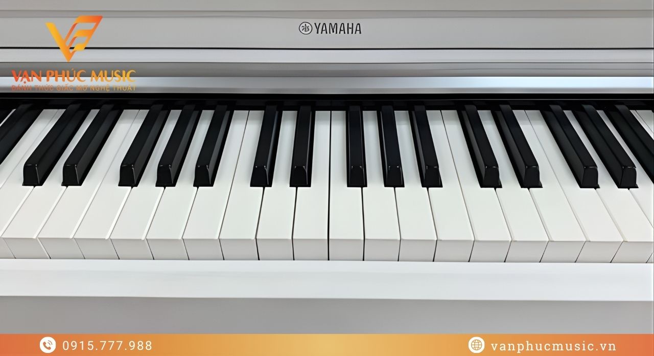 YAMAHA YDP 163WH