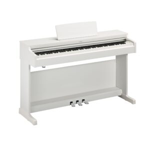 WH - White