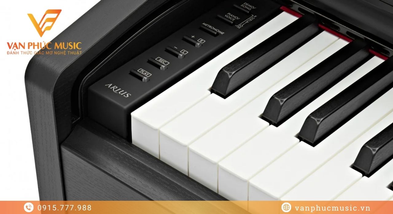 YAMAHA YDP 165B