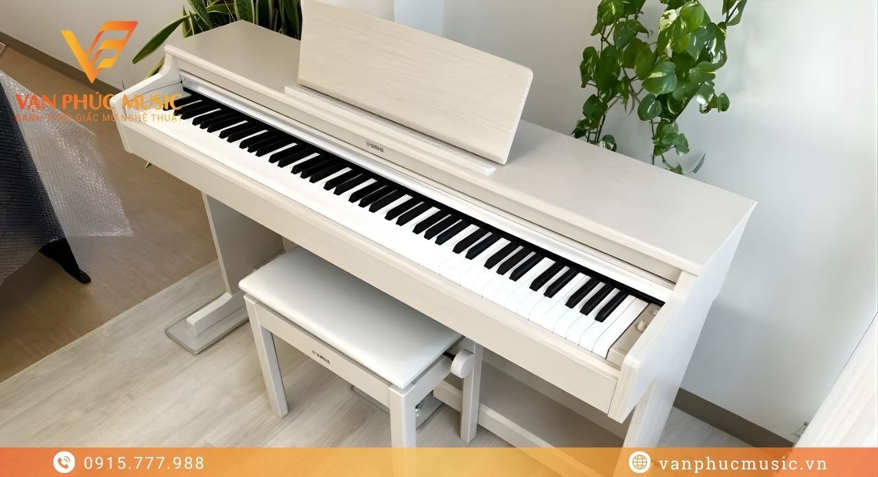 YAMAHA YDP 165WA