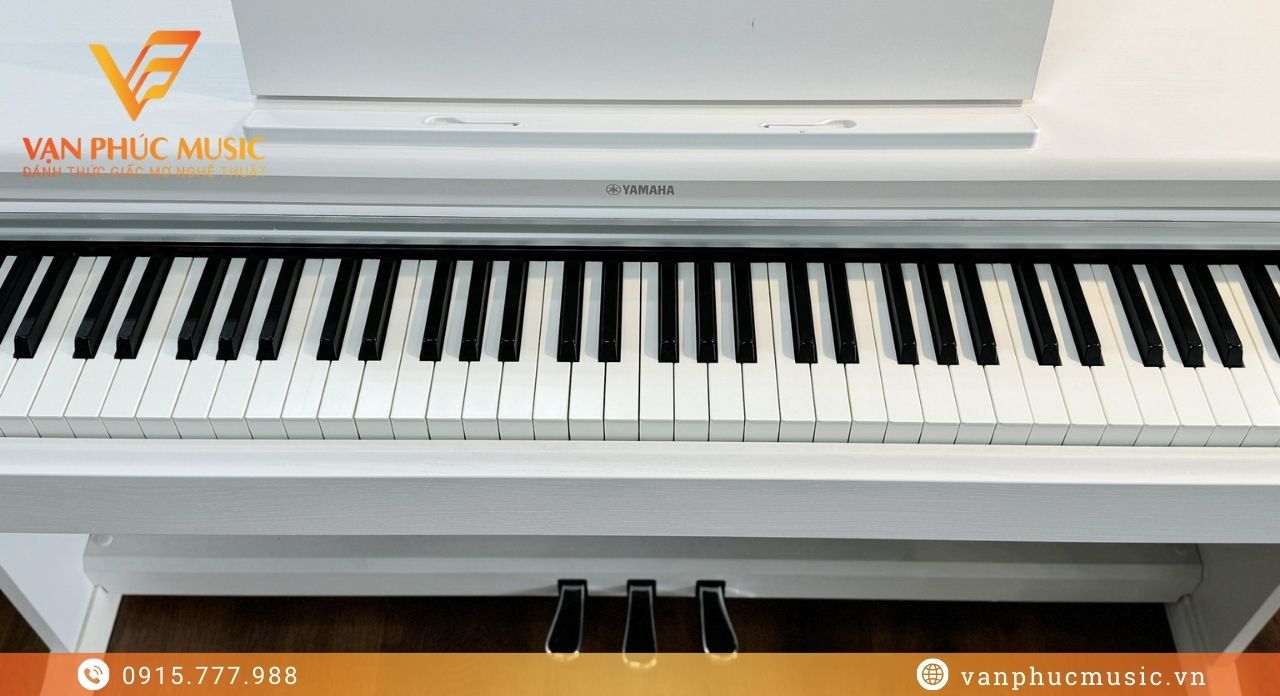 YAMAHA YDP 165WH