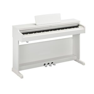 WH - White