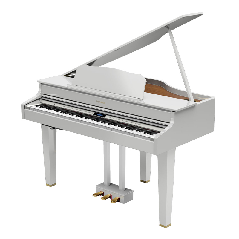 ROLAND GP 607PW