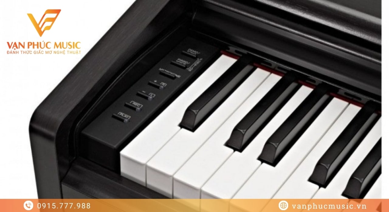 Yamaha YDP 145B