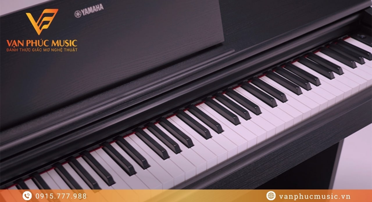 Yamaha YDP 145B