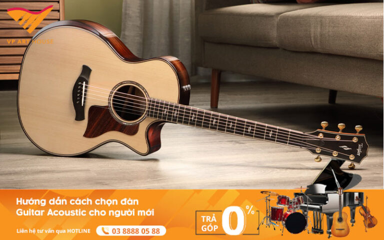 cach-chon-dan-guitar-acoustic-cho-nguoi-moi
