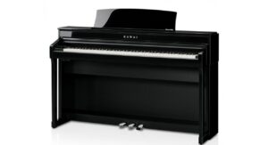 EP-Polished Ebony