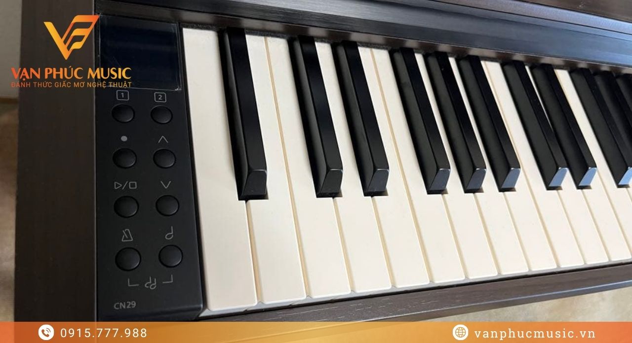 KAWAI CN 29DW