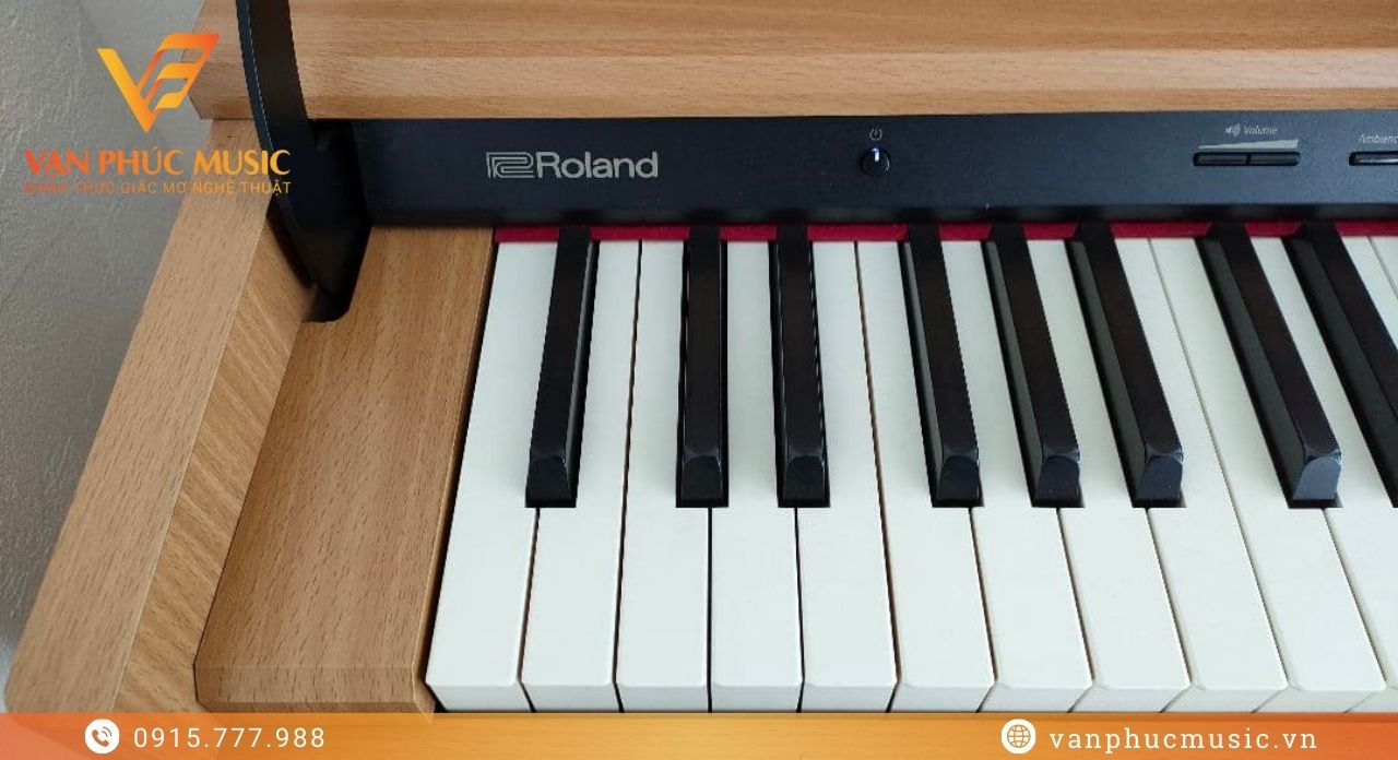 ROLAND DP 603NBS