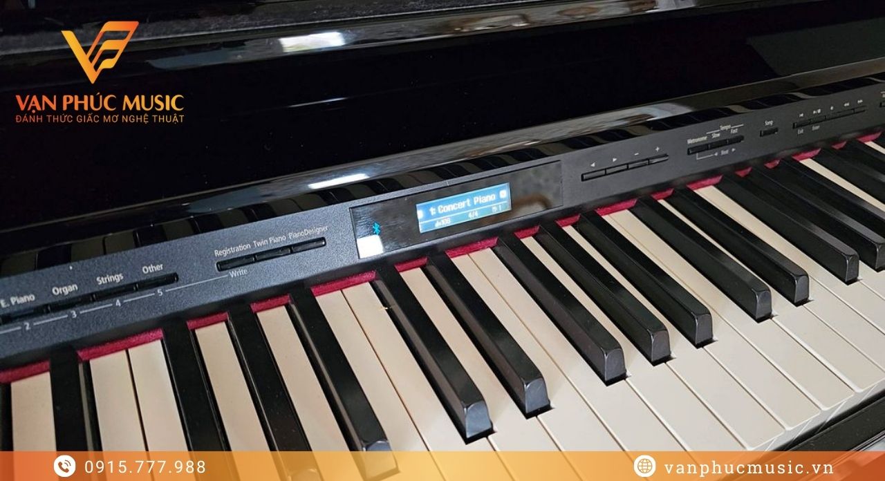 ROLAND DP 603PE