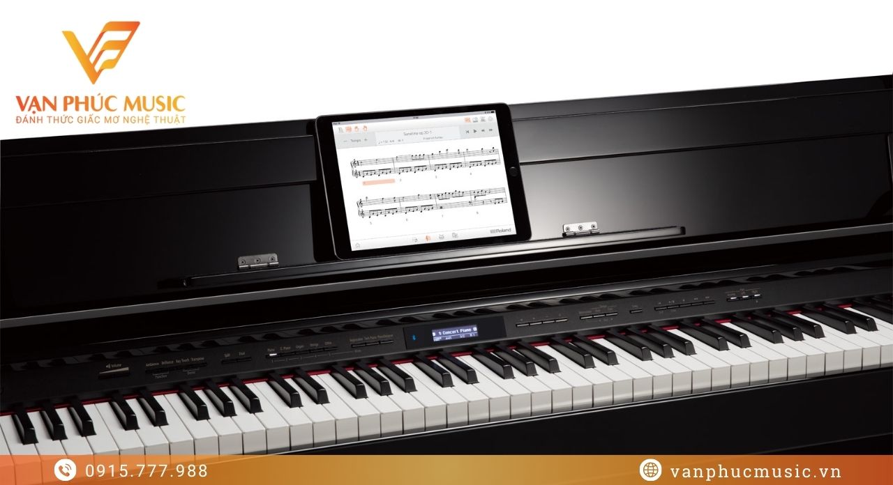 ROLAND DP 603PE