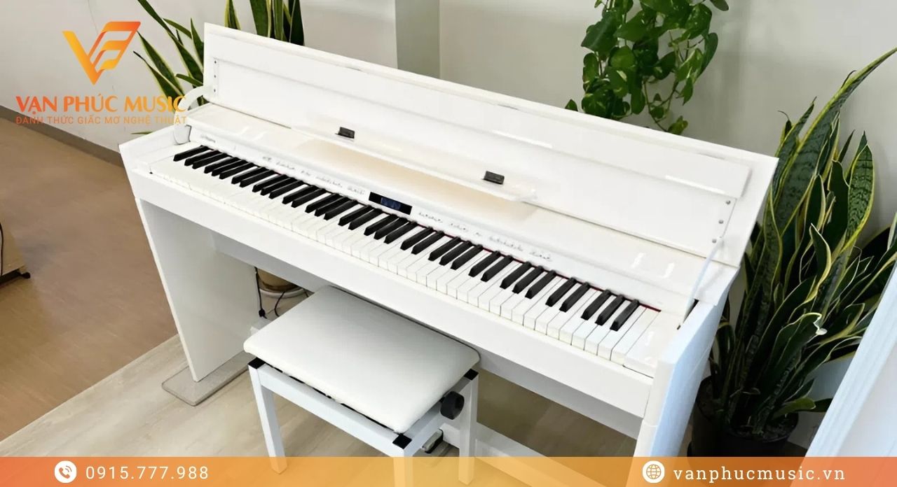 ROLAND DP 603PW