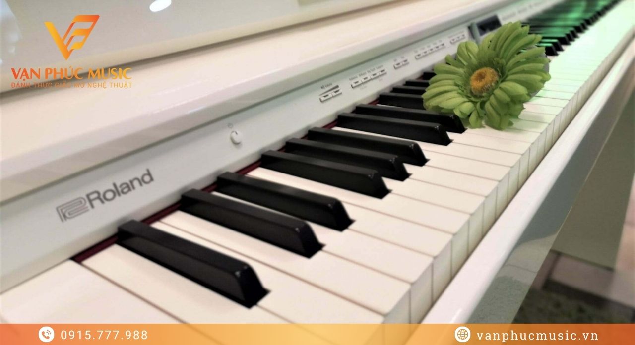 ROLAND DP 603PW