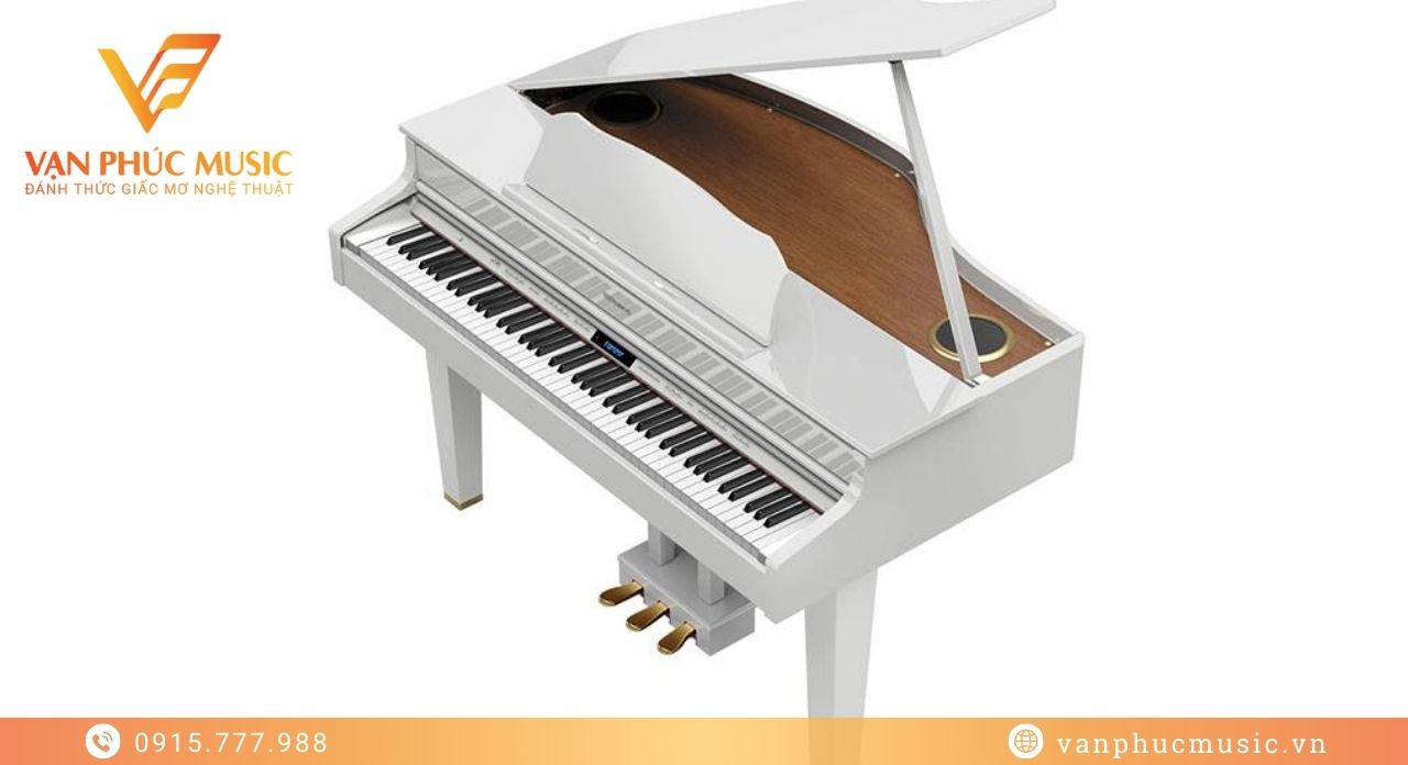 ROLAND GP 607PW