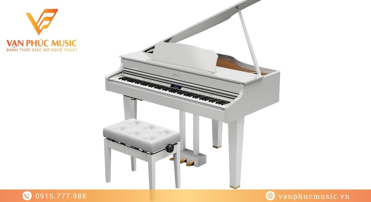 ROLAND GP 607PW