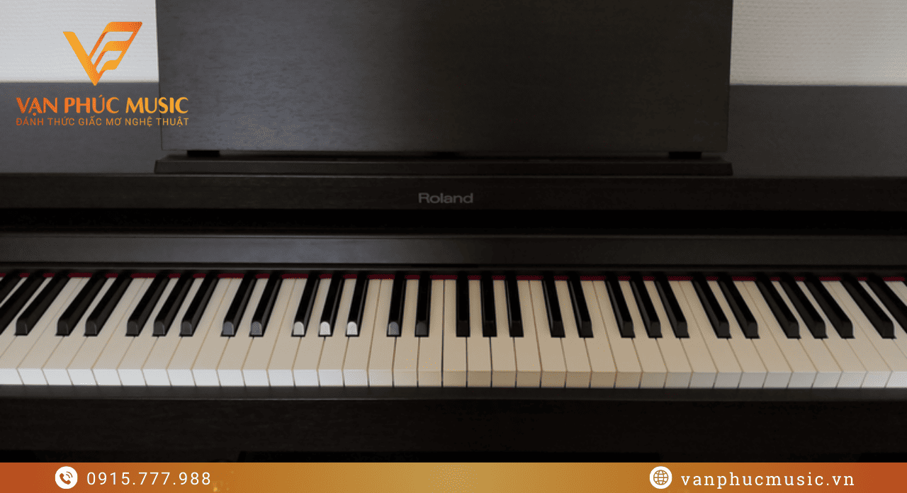 ROLAND HP504 CB