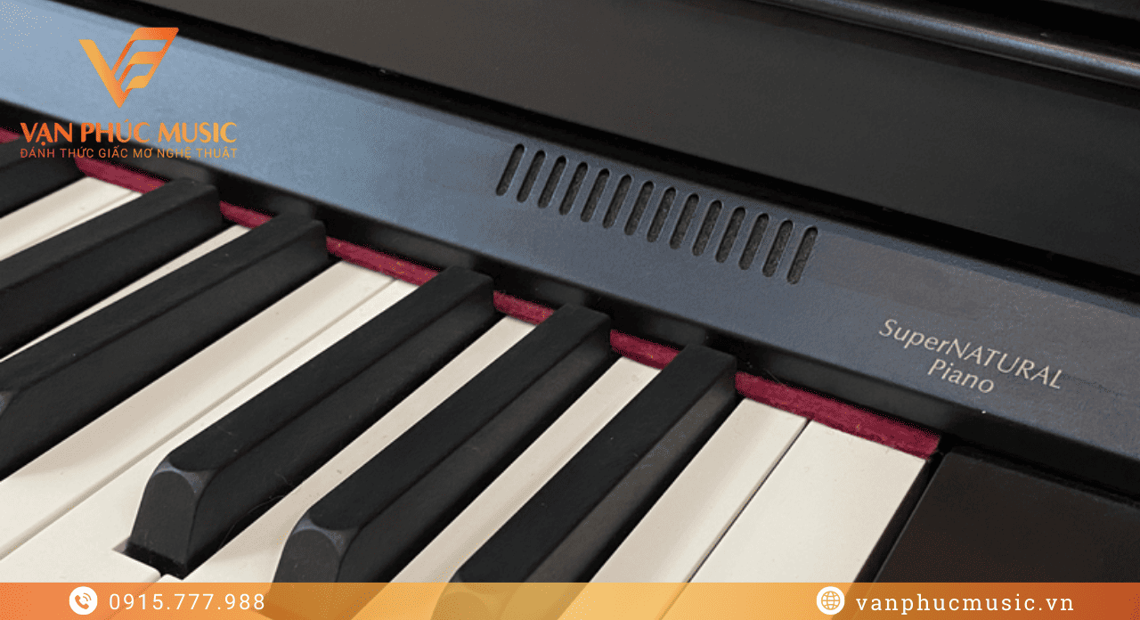 ROLAND HP 506GP-B