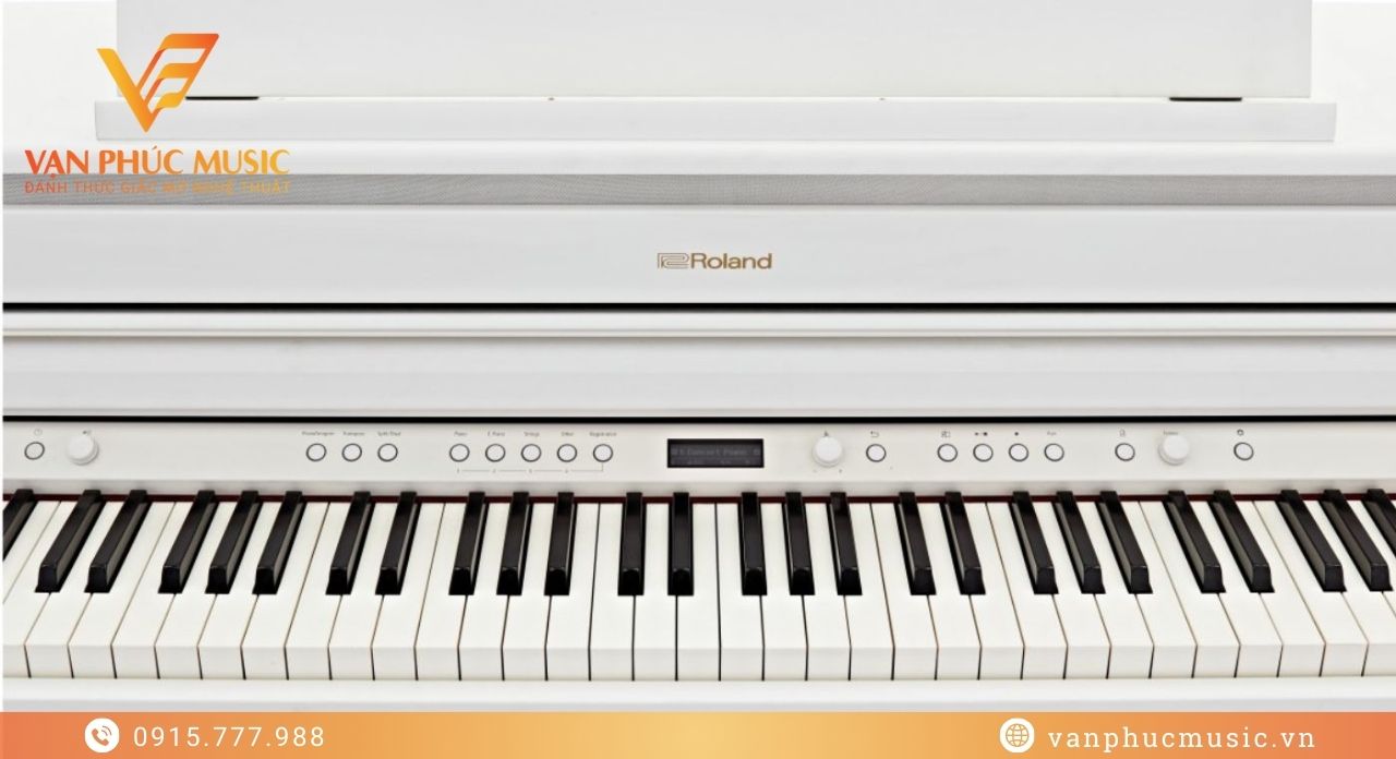ROLAND HP 704WH