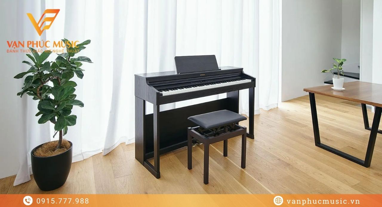 ROLAND RP 701CB