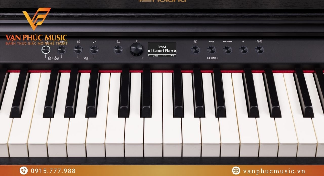 ROLAND RP 701CB