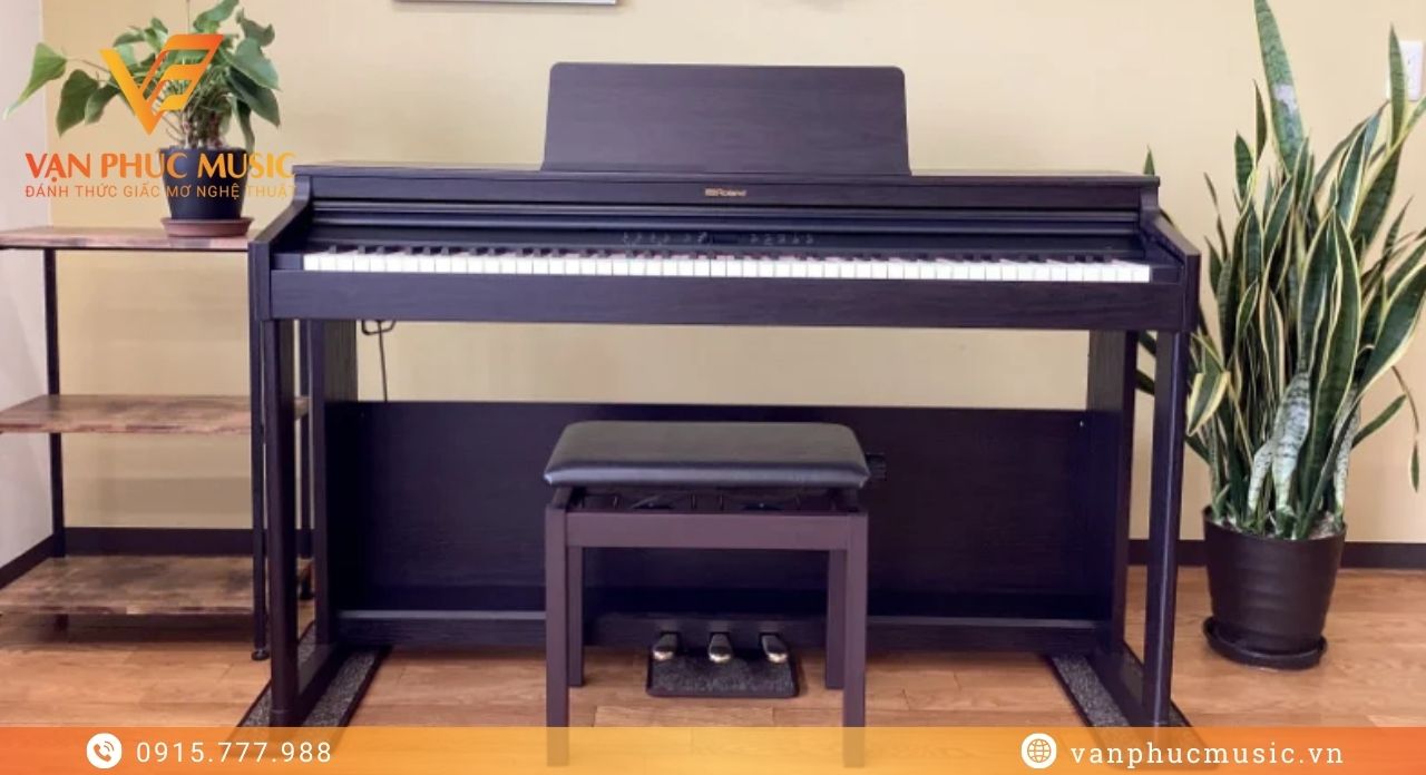 ROLAND RP 701DR