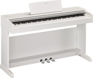 WH - White
