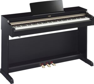 PE - Polished Ebony