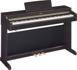 R - NÂU ĐEN
