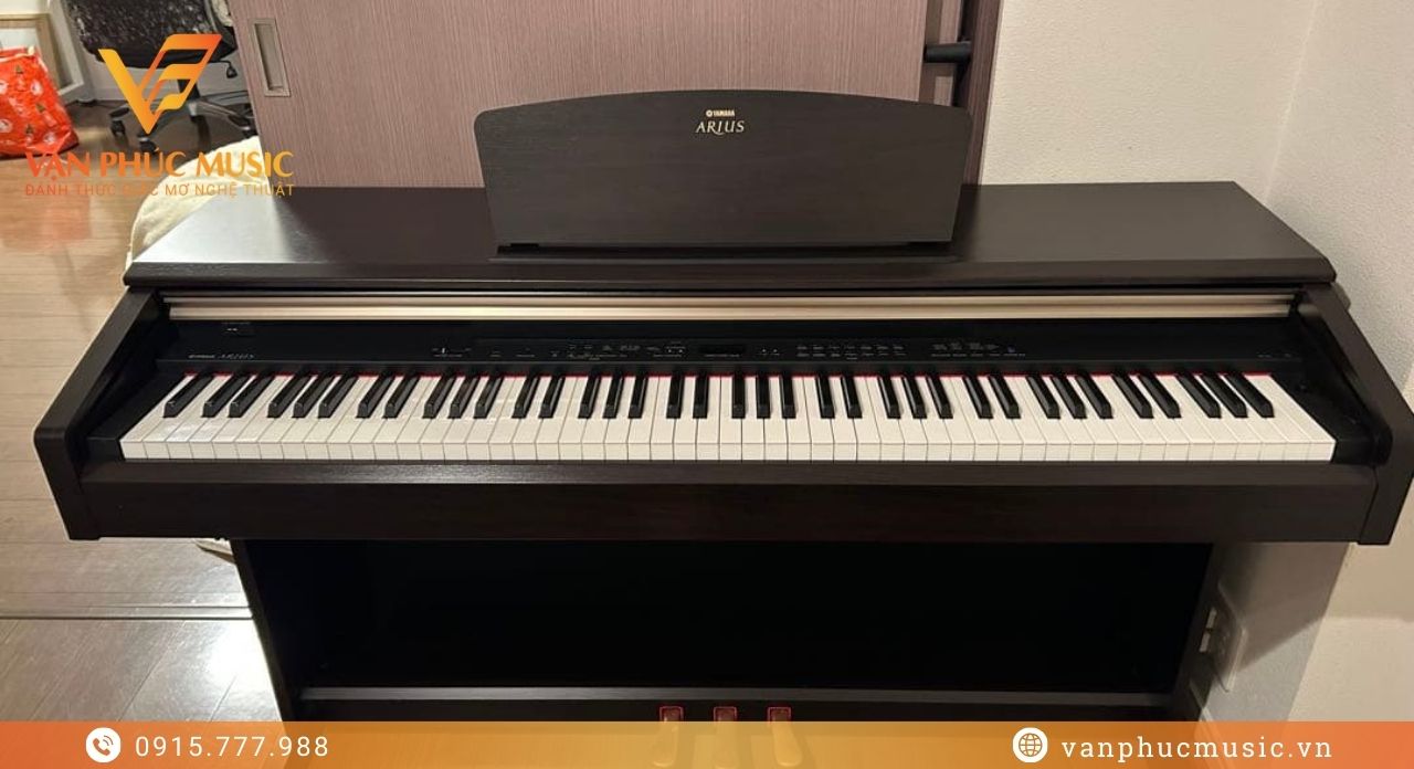 YAMAHA YDP 181R