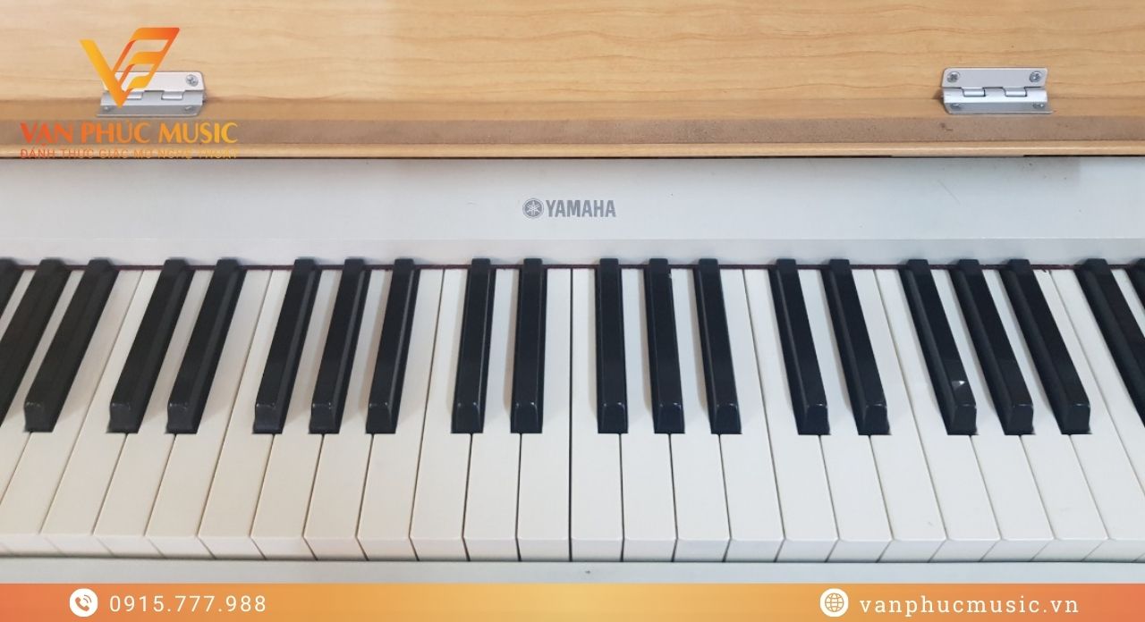 YAMAHA YDP S30C