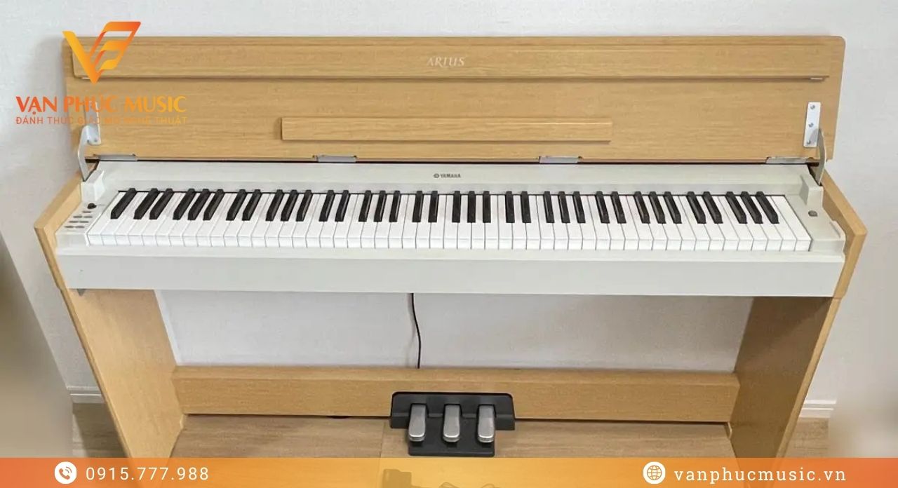 YAMAHA YDP S31C