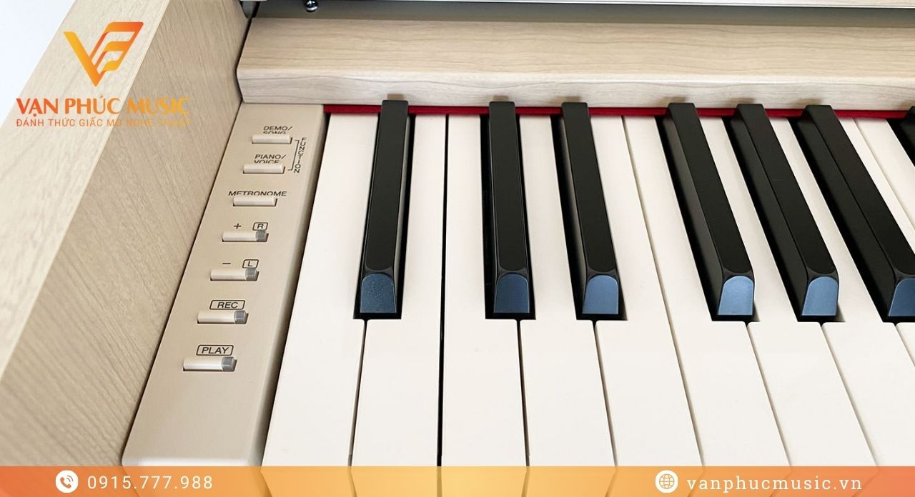 YAMAHA YDP S34WA