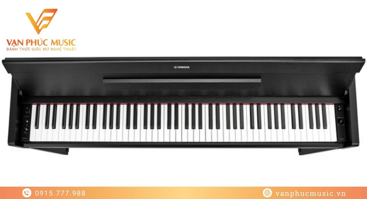 YAMAHA YDP S35B