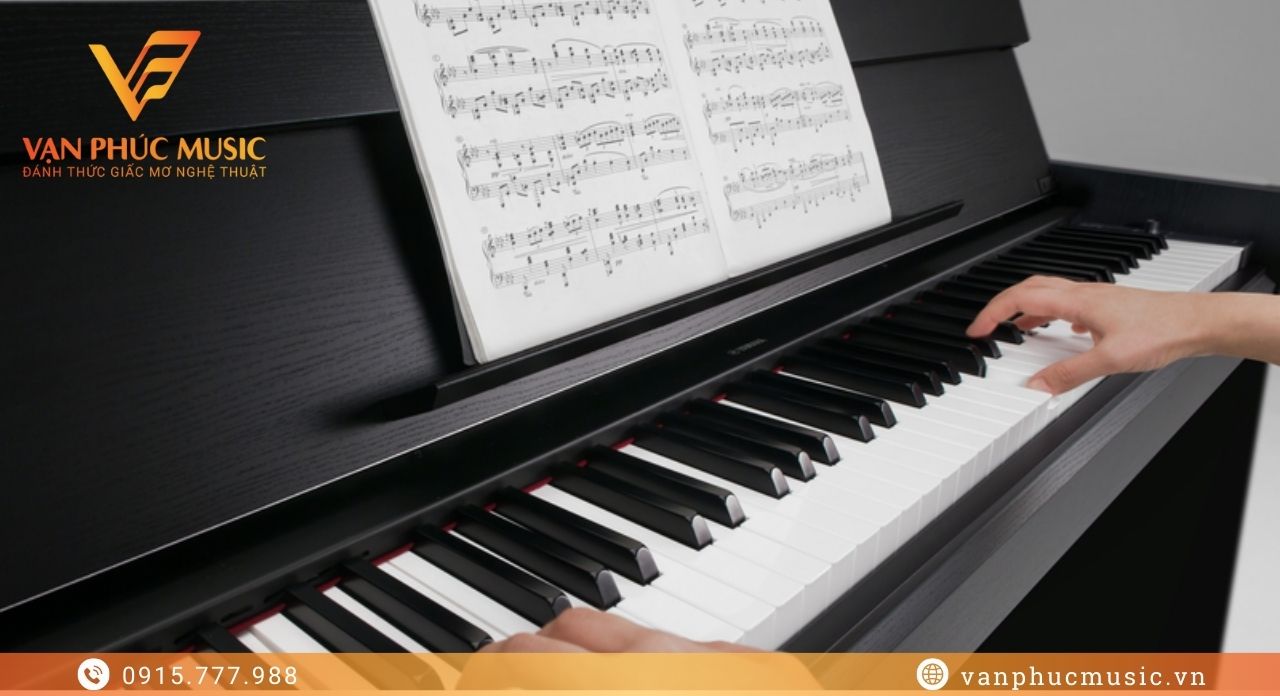 YAMAHA YDP S51B