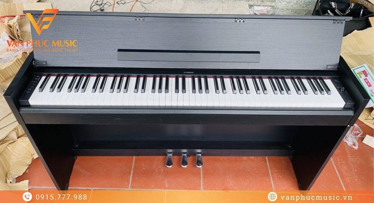 YAMAHA YDP S51B